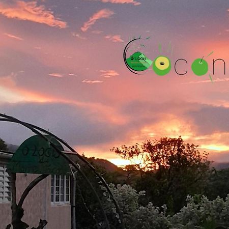 Апартаменты O Logis Du Morne Jacob "Coco", Le Morne-Rouge Martinique Экстерьер фото
