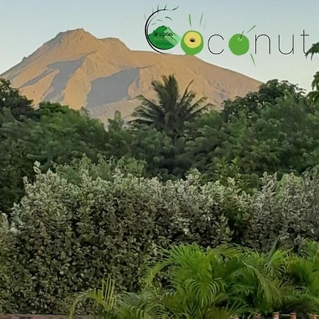 Апартаменты O Logis Du Morne Jacob "Coco", Le Morne-Rouge Martinique Экстерьер фото
