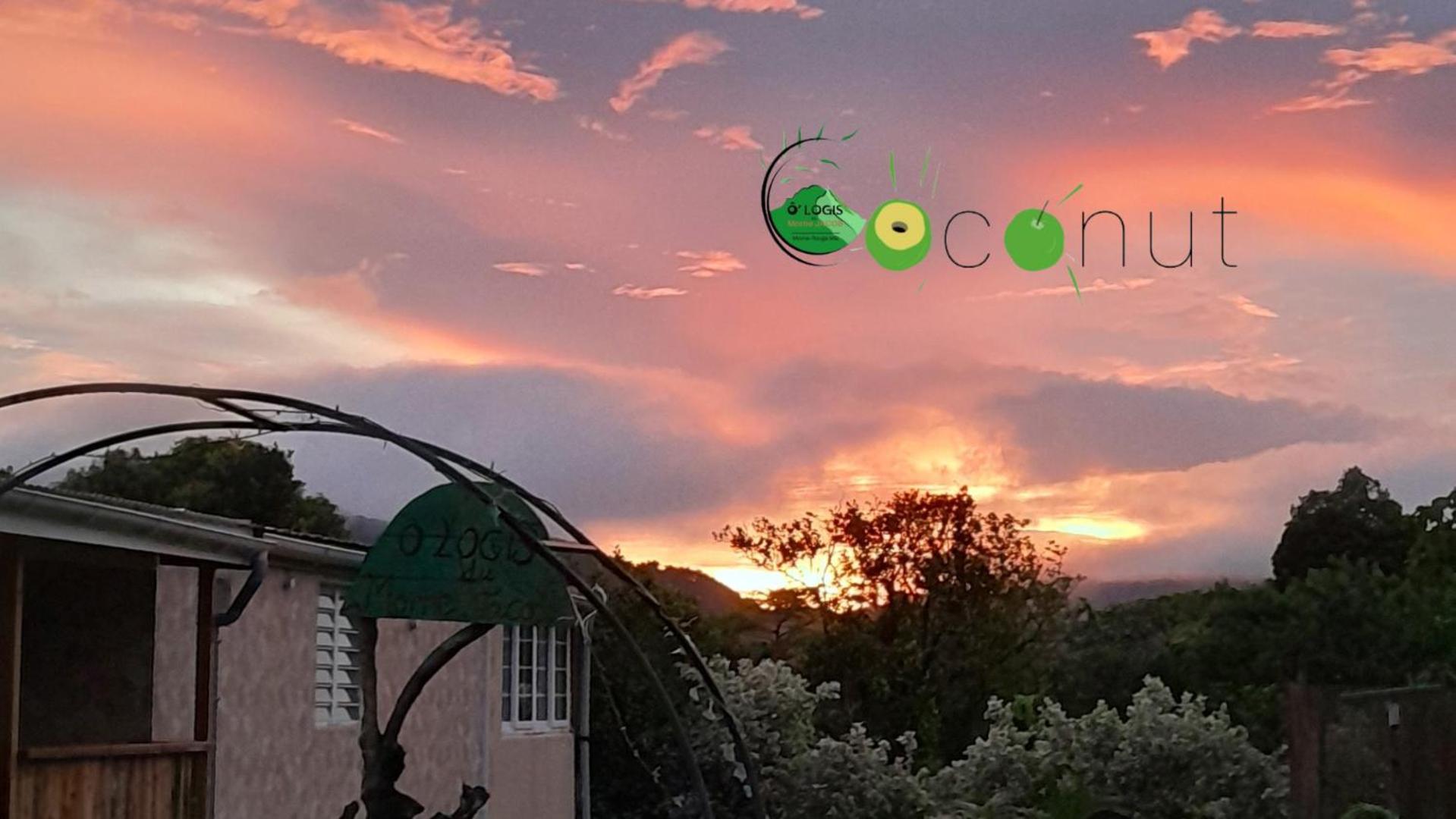 Апартаменты O Logis Du Morne Jacob "Coco", Le Morne-Rouge Martinique Экстерьер фото