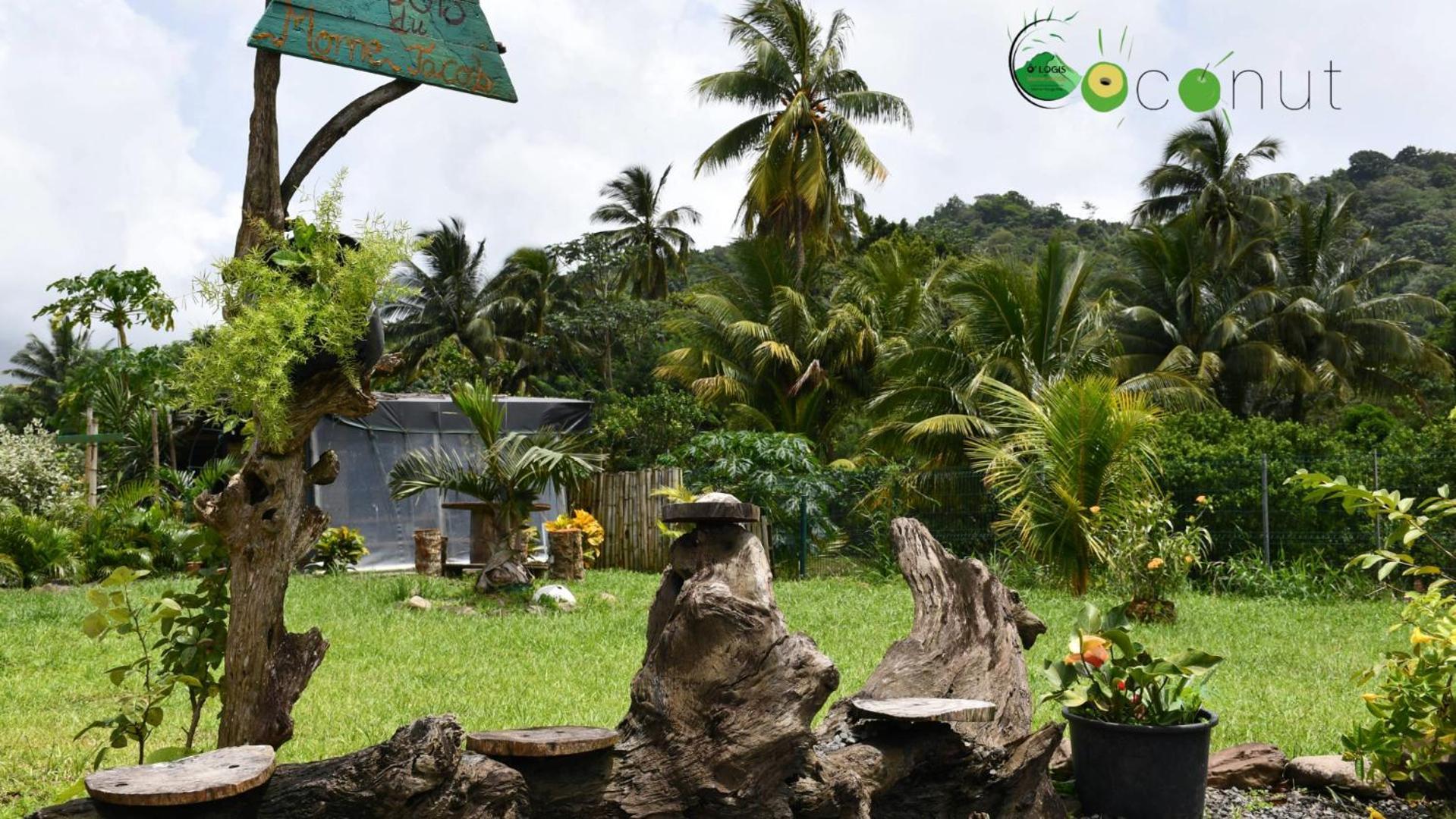 Апартаменты O Logis Du Morne Jacob "Coco", Le Morne-Rouge Martinique Экстерьер фото